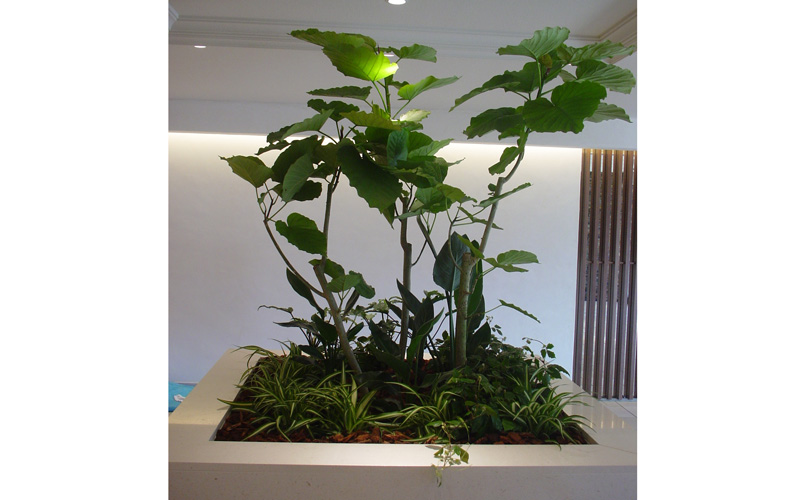 スライドショー