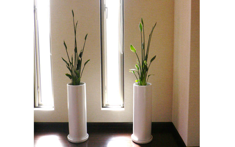 スライドショー