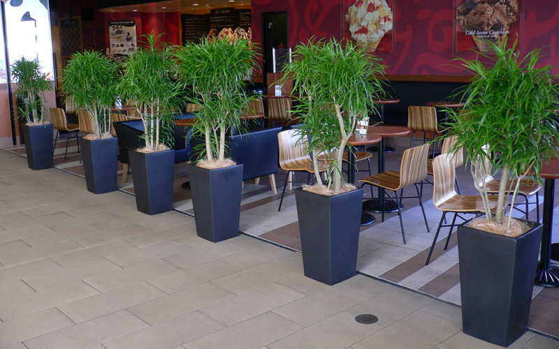 スライドショー