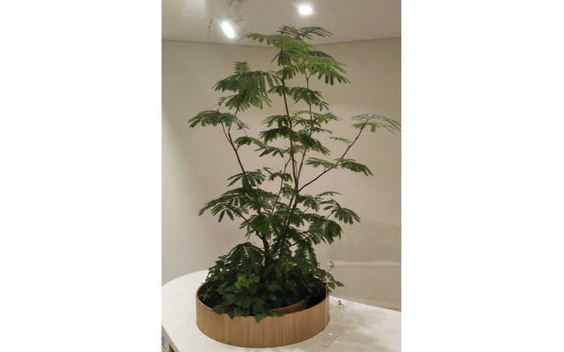 スライドショー